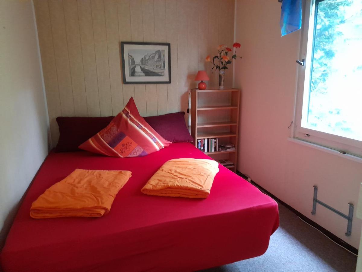 DahlenBungalow Am Waldbad别墅 外观 照片