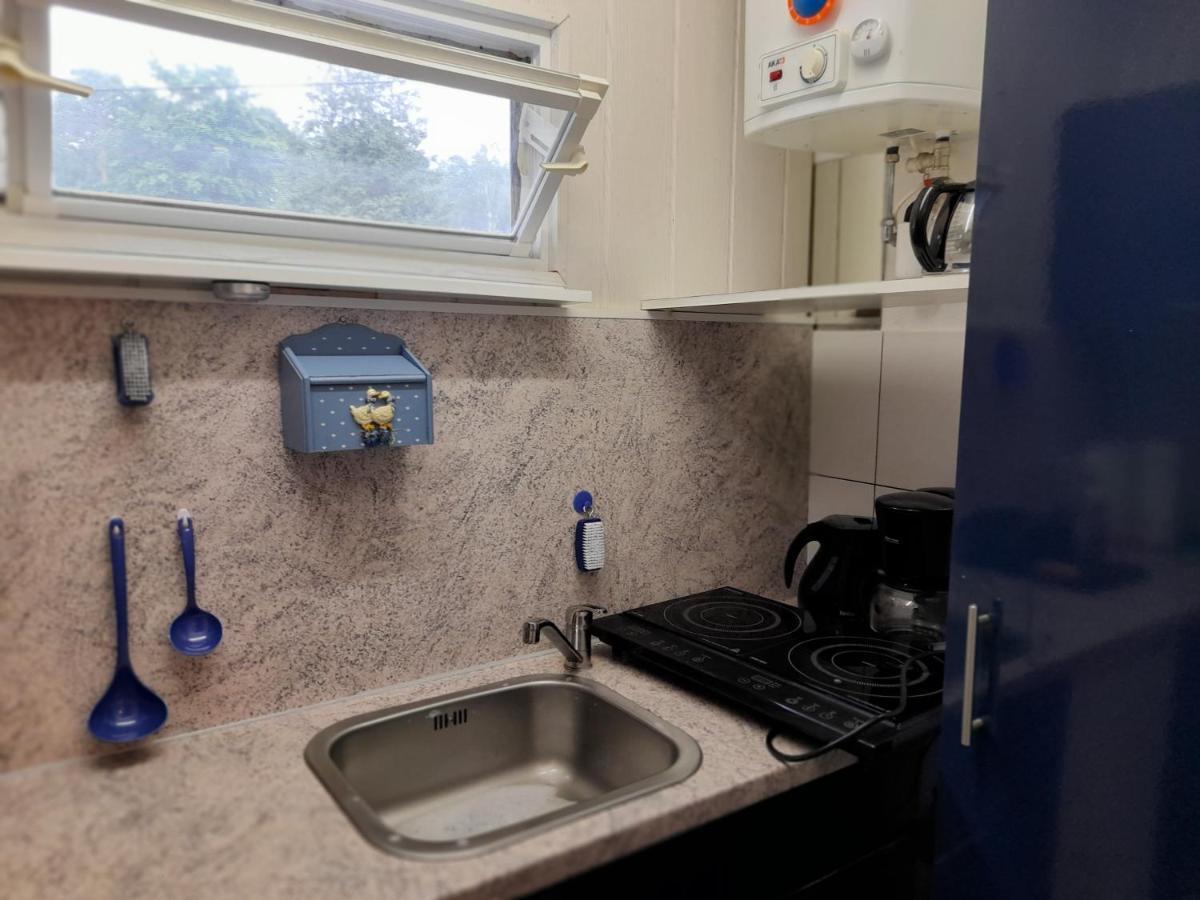 DahlenBungalow Am Waldbad别墅 外观 照片
